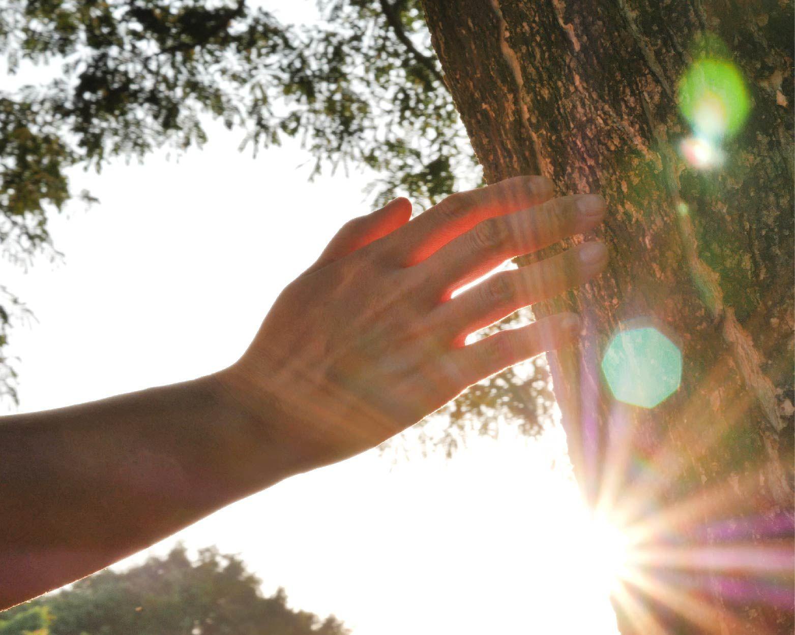 sol-iluminando-o-dia-cuidado-meio-ambiente-.png