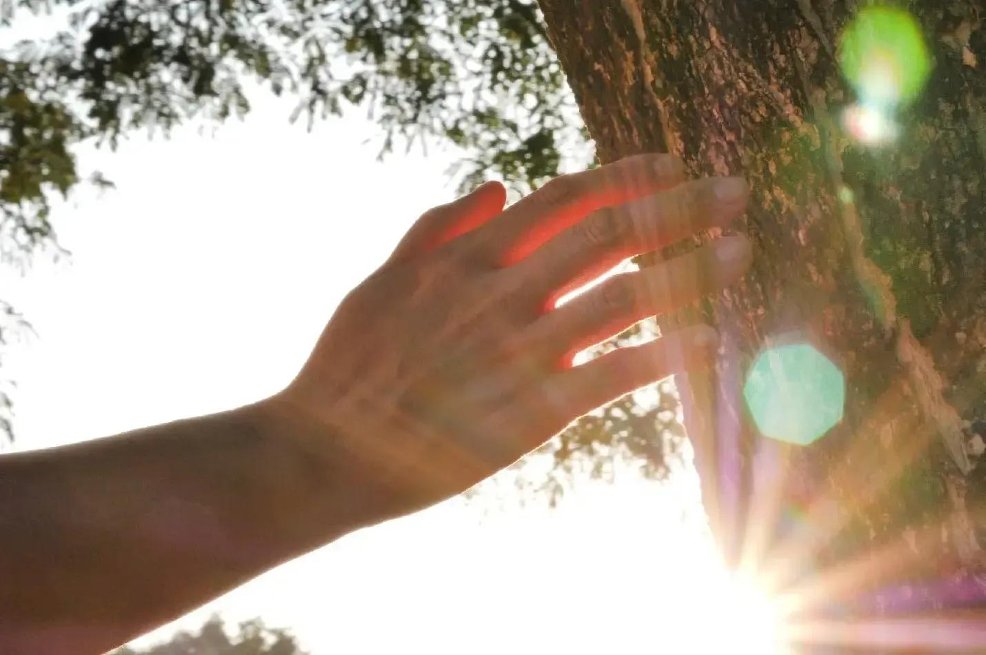 Sustentabilidade